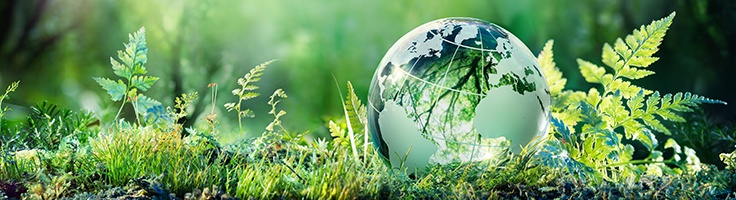 Photo of Environmental