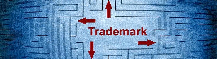 Photo of Intellectual Property